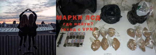 мдпв Богданович