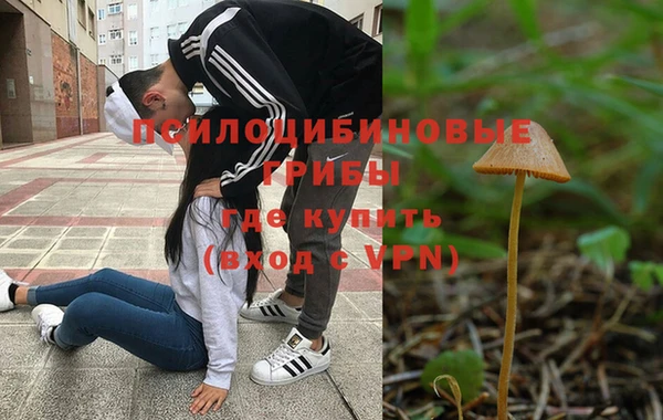 метадон Богородицк