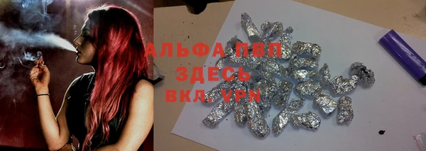 мдпв Богданович