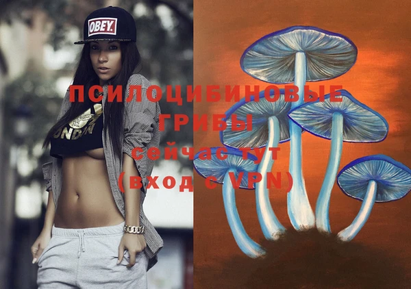 мдпв Богданович