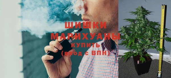 мдпв Богданович