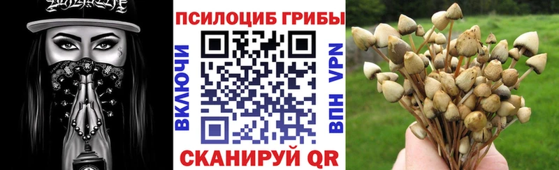 купить наркотик  ссылка на мегу зеркало  Галлюциногенные грибы ЛСД  Новое Девяткино 